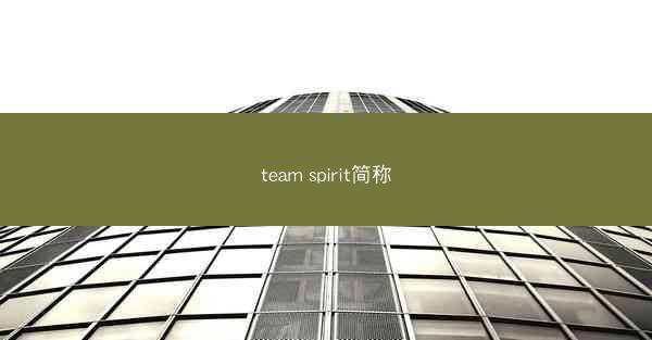 team spirit简称