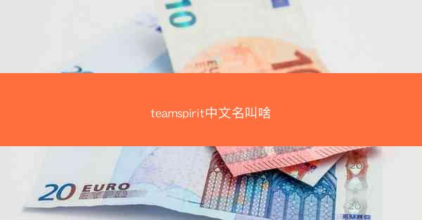 teamspirit中文名叫啥