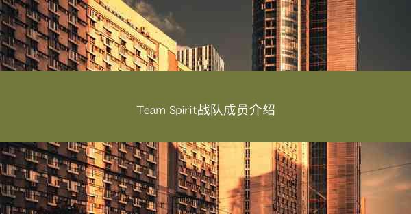 Team Spirit战队成员介绍