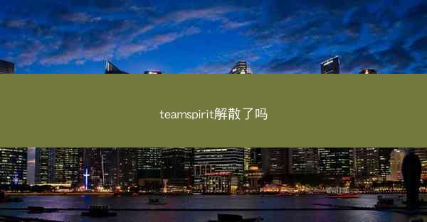 teamspirit解散了吗