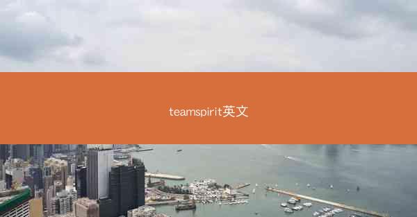 teamspirit英文