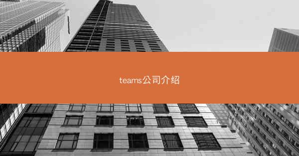 teams公司介绍