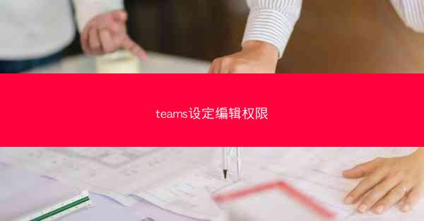 teams设定编辑权限