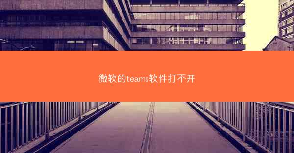 微软的teams软件打不开