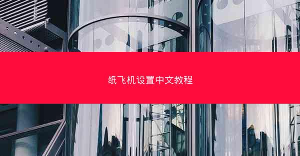 纸飞机设置中文教程