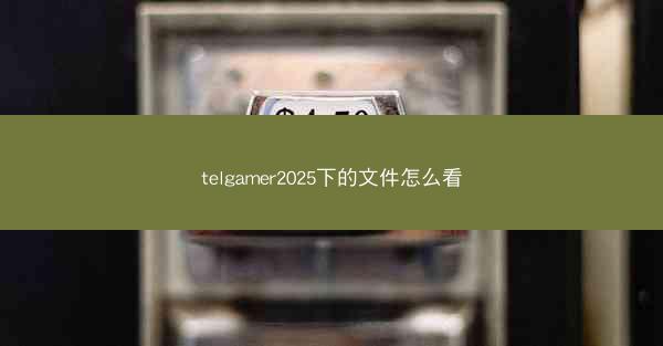 telgamer2025下的文件怎么看
