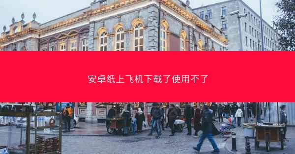 安卓纸上飞机下载了使用不了