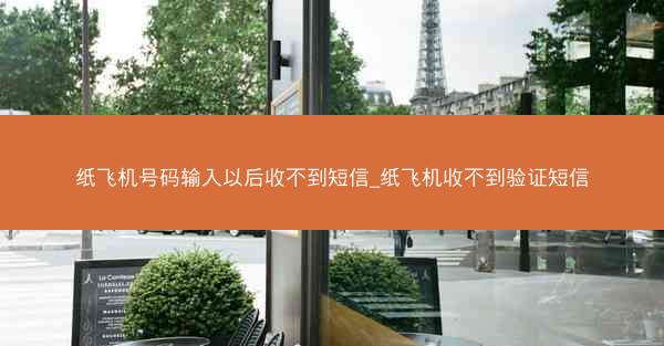 纸飞机号码输入以后收不到短信_纸飞机收不到验证短信