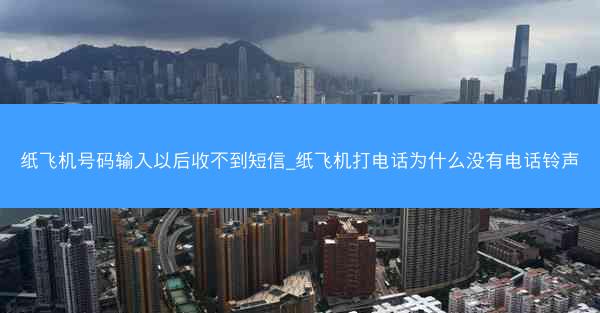 纸飞机号码输入以后收不到短信_纸飞机打电话为什么没有电话铃声