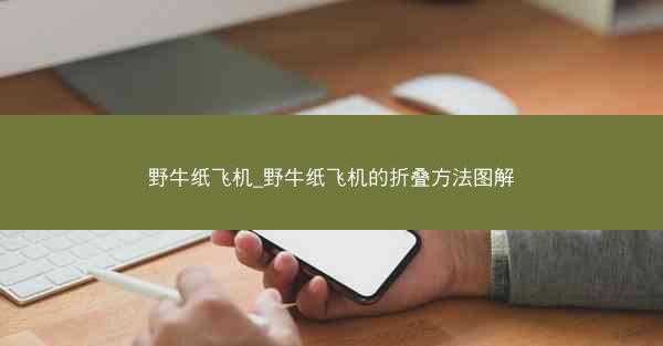 野牛纸飞机_野牛纸飞机的折叠方法图解