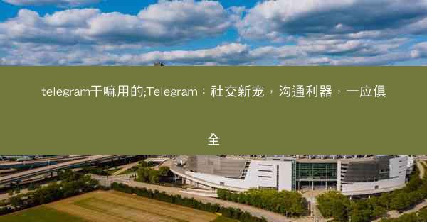 telegram干嘛用的;Telegram：社交新宠，沟通利器，一应俱全