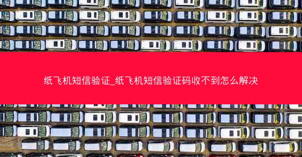 纸飞机短信验证_纸飞机短信验证码收不到怎么解决