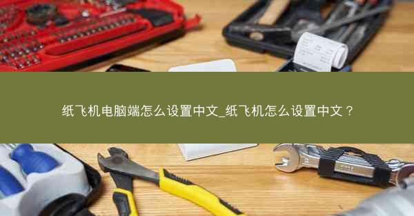 纸飞机电脑端怎么设置中文_纸飞机怎么设置中文？
