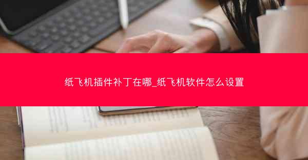 纸飞机插件补丁在哪_纸飞机软件怎么设置