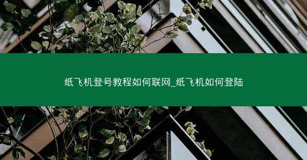 纸飞机登号教程如何联网_纸飞机如何登陆