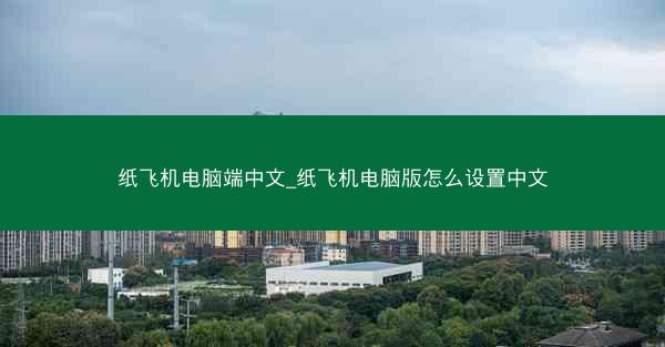 纸飞机电脑端中文_纸飞机电脑版怎么设置中文