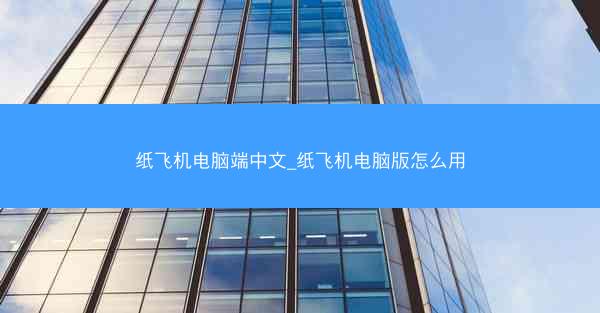 纸飞机电脑端中文_纸飞机电脑版怎么用