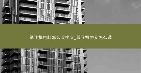 纸飞机电脑怎么改中文_纸飞机中文怎么调
