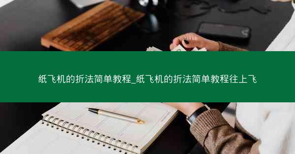纸飞机的折法简单教程_纸飞机的折法简单教程往上飞