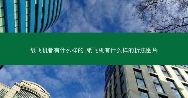纸飞机都有什么样的_纸飞机有什么样的折法图片