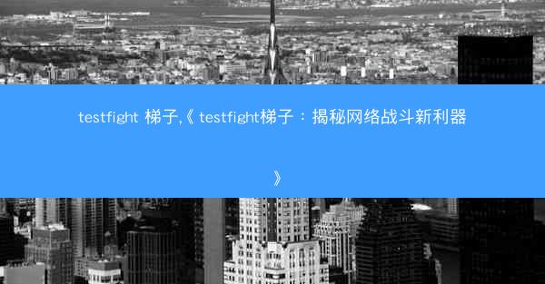 testfight 梯子,《testfight梯子：揭秘网络战斗新利器》