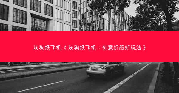 灰狗纸飞机;《灰狗纸飞机：创意折纸新玩法》