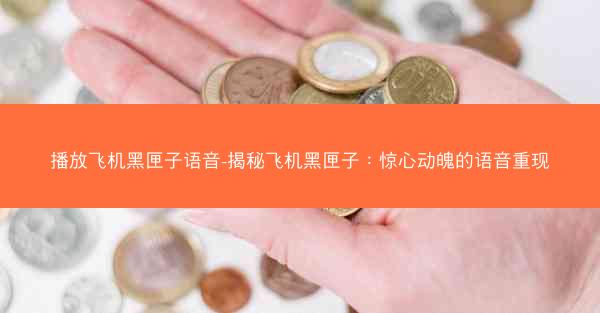 播放飞机黑匣子语音-揭秘飞机黑匣子：惊心动魄的语音重现