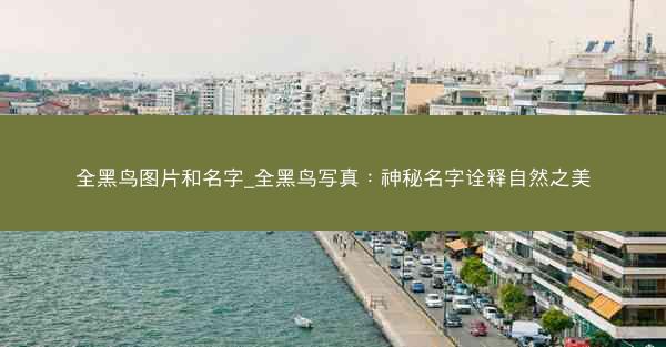全黑鸟图片和名字_全黑鸟写真：神秘名字诠释自然之美