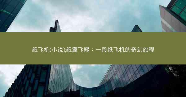 纸飞机(小说);纸翼飞翔：一段纸飞机的奇幻旅程