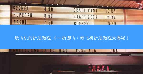 纸飞机的折法教程_《一折即飞：纸飞机折法教程大揭秘》