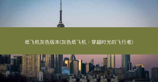 纸飞机灰色版本(灰色纸飞机：穿越时光的飞行者)