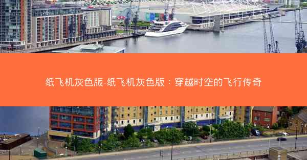 纸飞机灰色版-纸飞机灰色版：穿越时空的飞行传奇