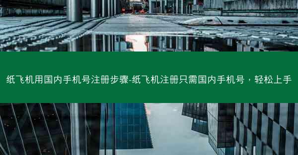 纸飞机用国内手机号注册步骤-纸飞机注册只需国内手机号，轻松上手