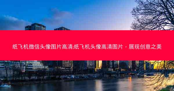 纸飞机微信头像图片高清;纸飞机头像高清图片，展现创意之美