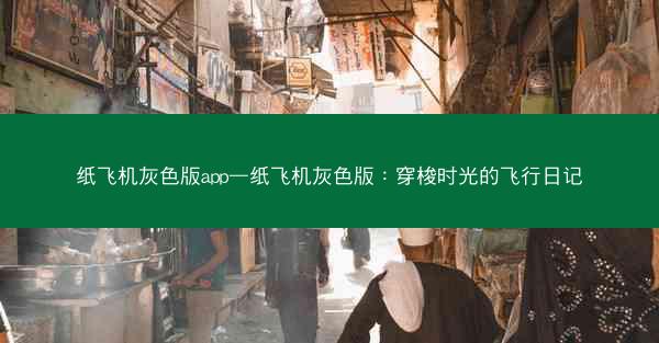 纸飞机灰色版app—纸飞机灰色版：穿梭时光的飞行日记