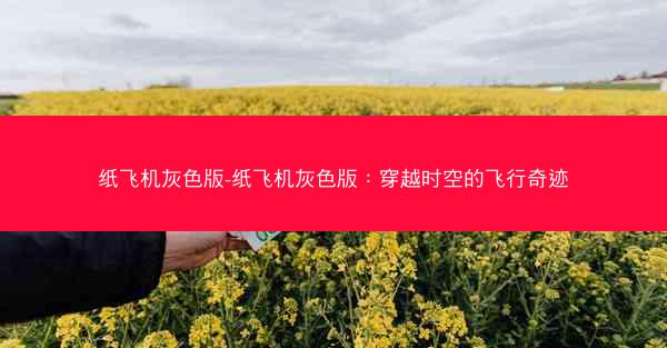 纸飞机灰色版-纸飞机灰色版：穿越时空的飞行奇迹
