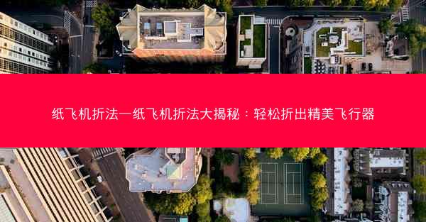 纸飞机折法—纸飞机折法大揭秘：轻松折出精美飞行器