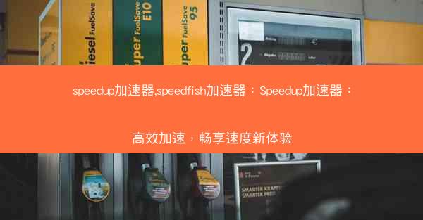 speedup加速器,speedfish加速器：Speedup加速器：高效加速，畅享速度新体验